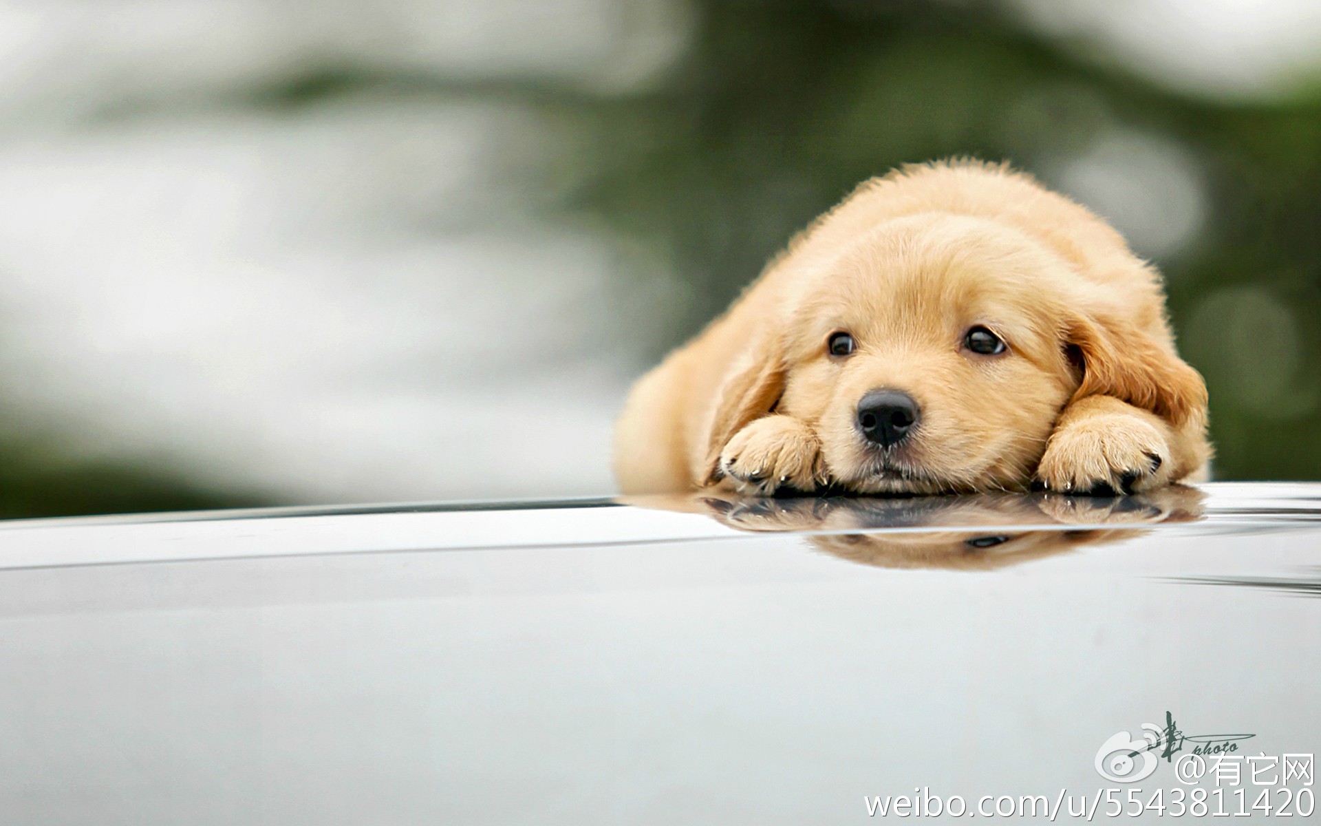 YANG_宇的个人主页（封面预览） - 主页封面设置 - 站酷设计师YANG_宇原创素材 - 站酷ZCOOL