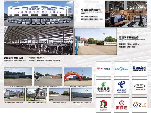 展架/易拉宝/物料/排版/版式设计