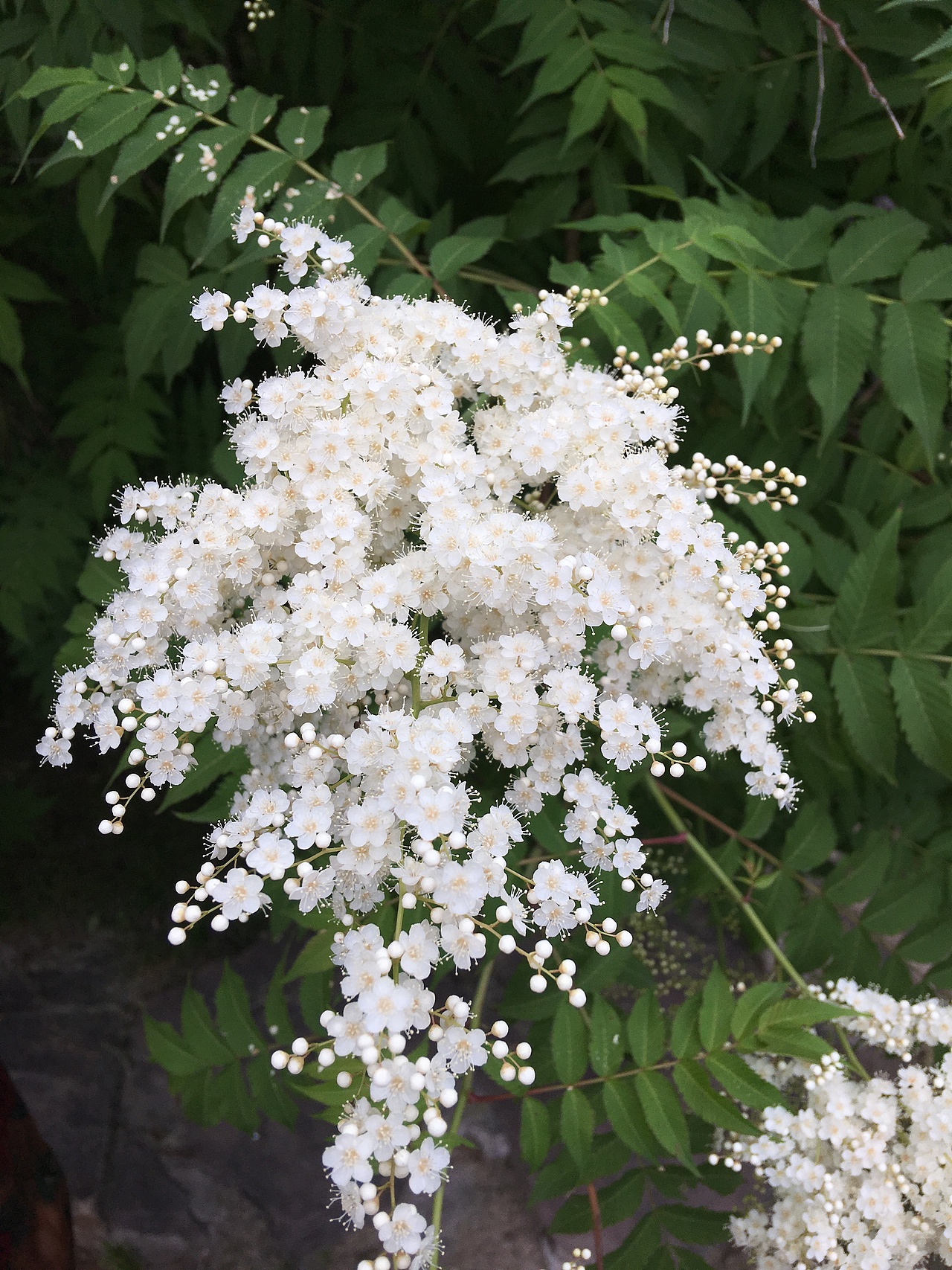 零零碎碎的生活气息