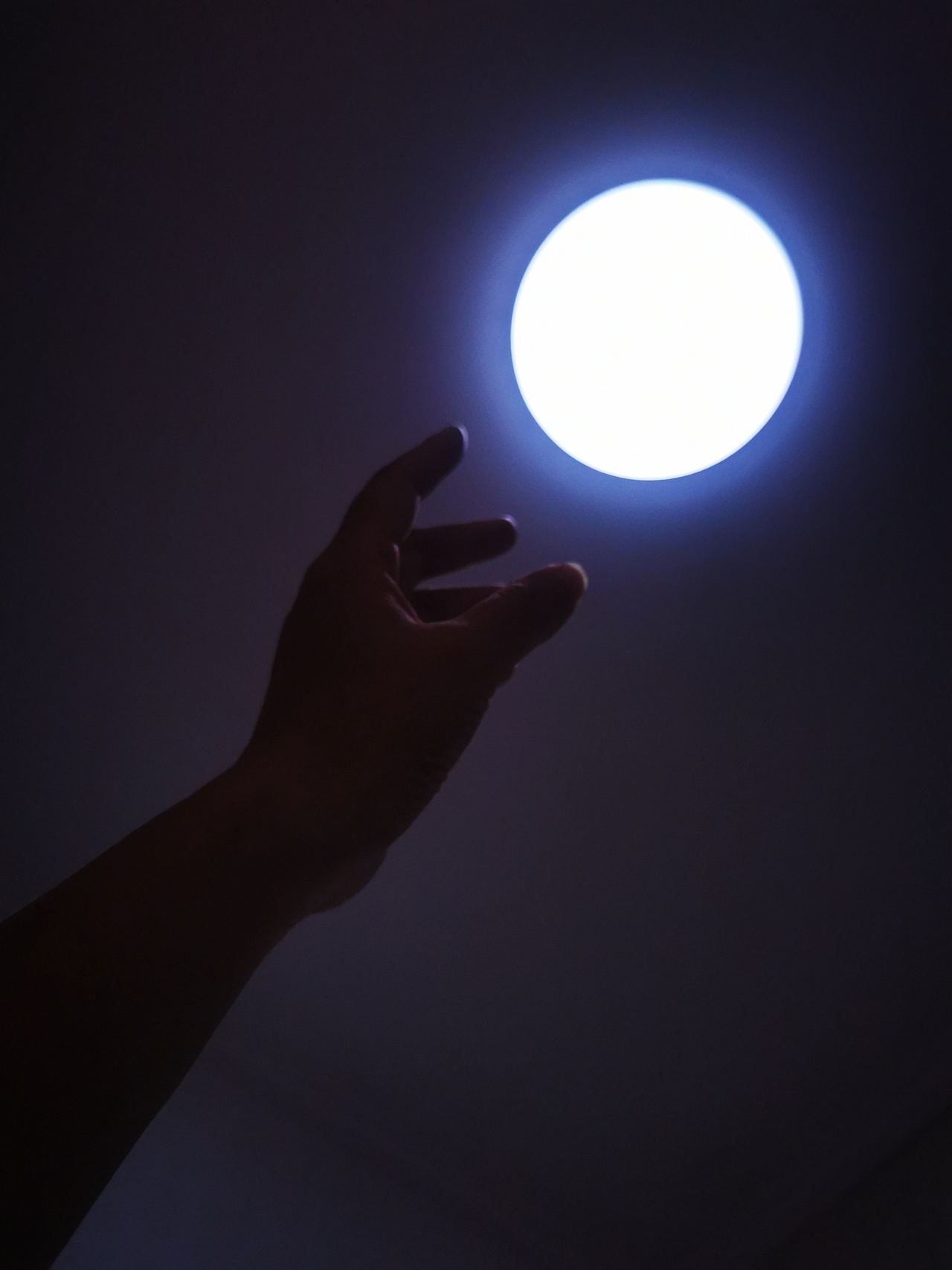 手可摘月|摄影|小品|生活也要风格化 - 原创作品 - 站酷 (zcool)