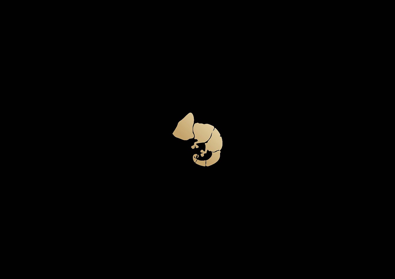 W先生logo设计实验室（图ZMTI2NDMyNzg4） - Logo - 站酷设计师W先生设计原创素材 - 站酷ZCOOL