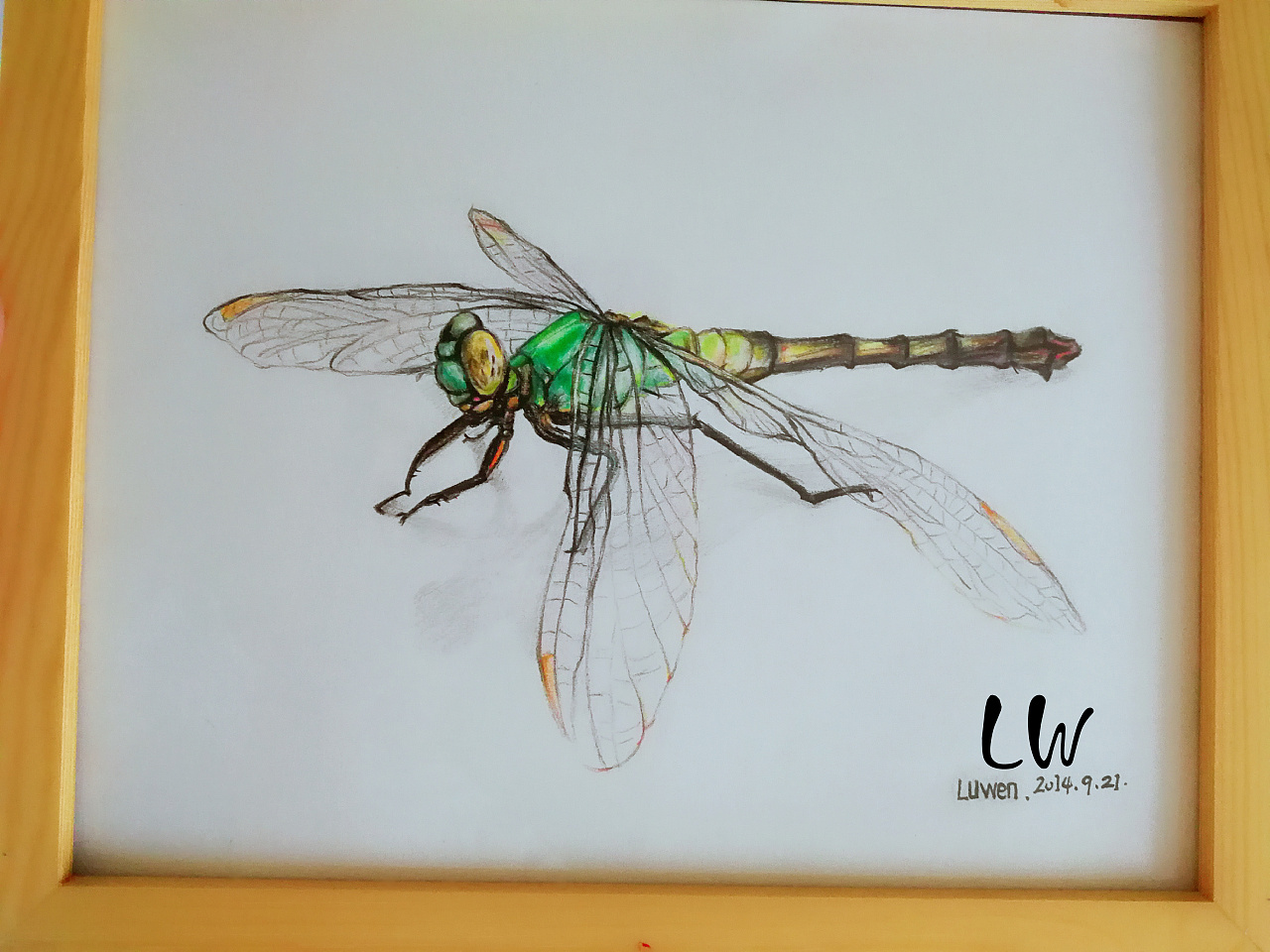 手绘彩铅小蜻蜓|纯艺术|绘画|每日一画 - 原创作品 - 站酷 (ZCOOL)