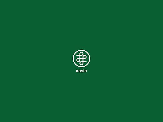 Kasin VI设计