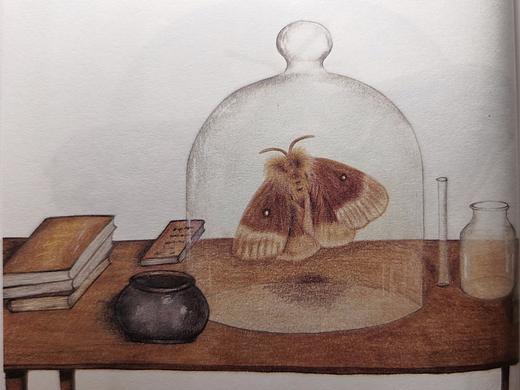 彩铅--科普文学《昆虫世界的社会生活》等插图绘制