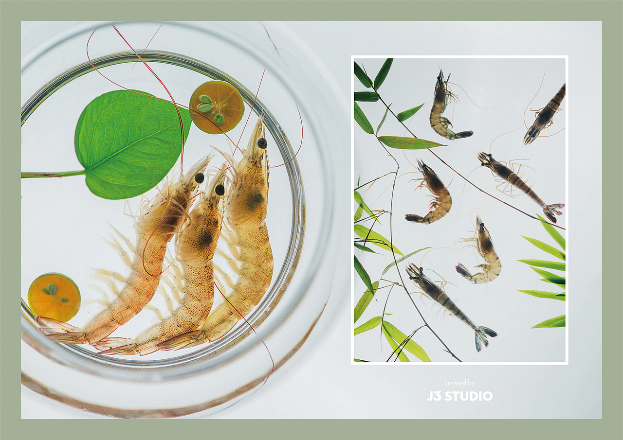 火锅。火锅！（图ZMTcwNTE1MDcy） - 产品摄影 - 站酷设计师J3studio原创素材 - 站酷ZCOOL