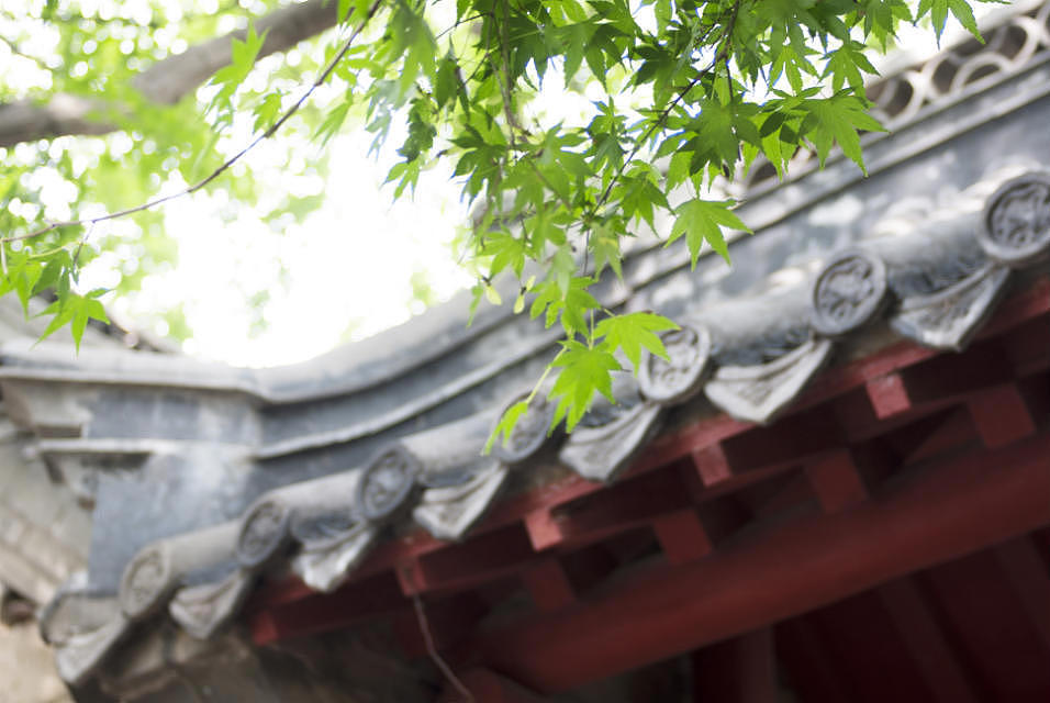 个人练习作品杂集