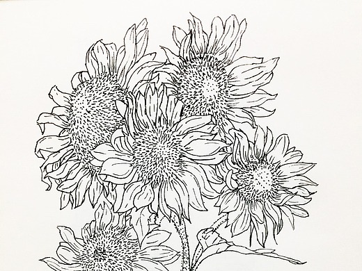 y羿彤个人主页_郑州平面设计师_站酷(zcool)