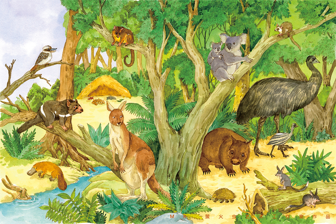 翻翻书系列-澳大利亚动物【mr.萤火虫】