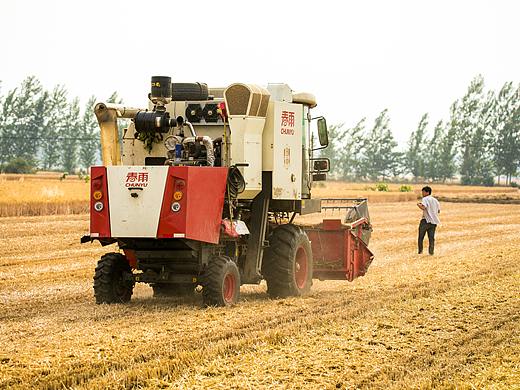 纪实摄影丨麦收忙