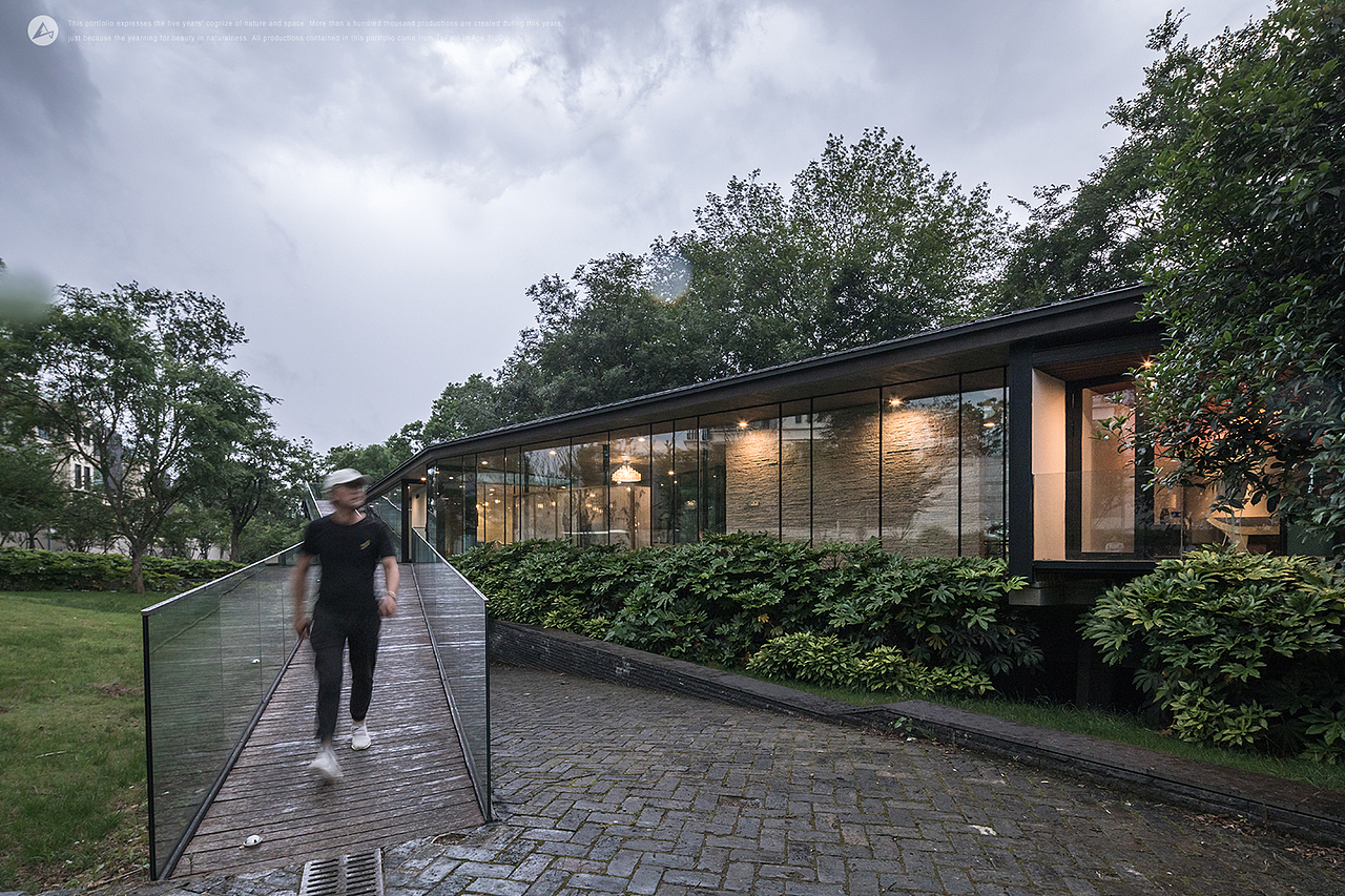 「建筑摄影」Water Lilies 睡莲