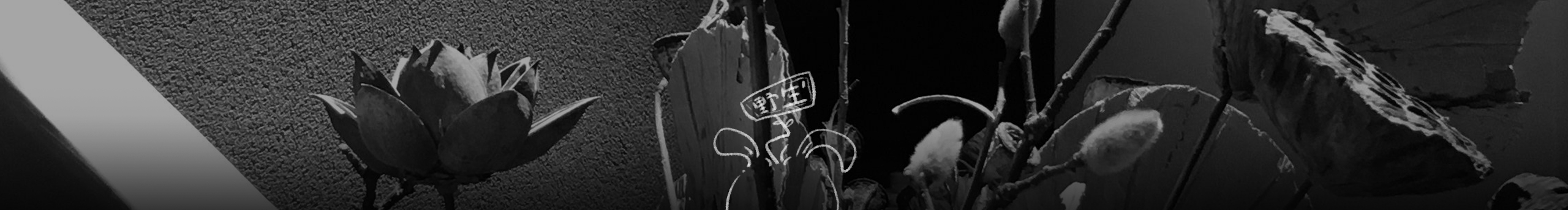 子咹的个人主页（封面预览） - 主页封面设置 - 站酷设计师子咹原创素材 - 站酷ZCOOL