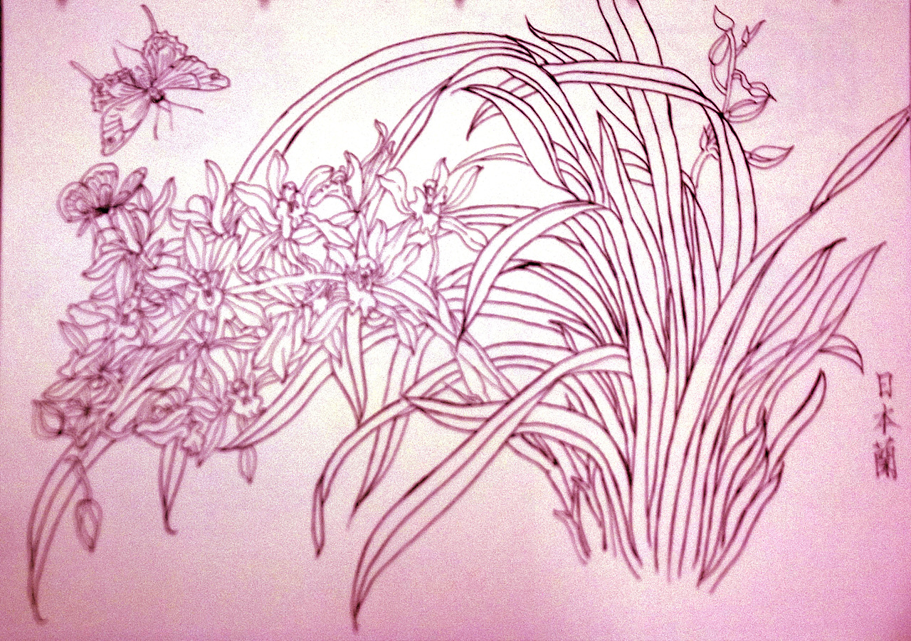 钢笔速写（图ZNTk1NjM0Mjg=） - 艺术插画 - 站酷设计师甲甲玲原创素材 - 站酷ZCOOL