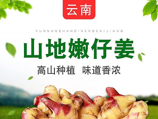 姜 嫩江详情页（个人主页-ZMzE1OTA4MzI=） - 电商 - 站酷设计师芬达人原创素材 - 站酷ZCOOL