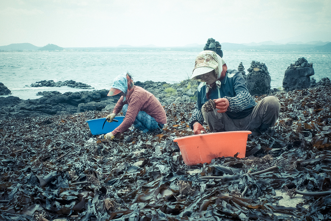蔚蓝济州之牛岛
