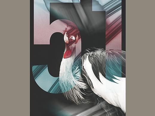 Joshua Fernandez Poster Series #058