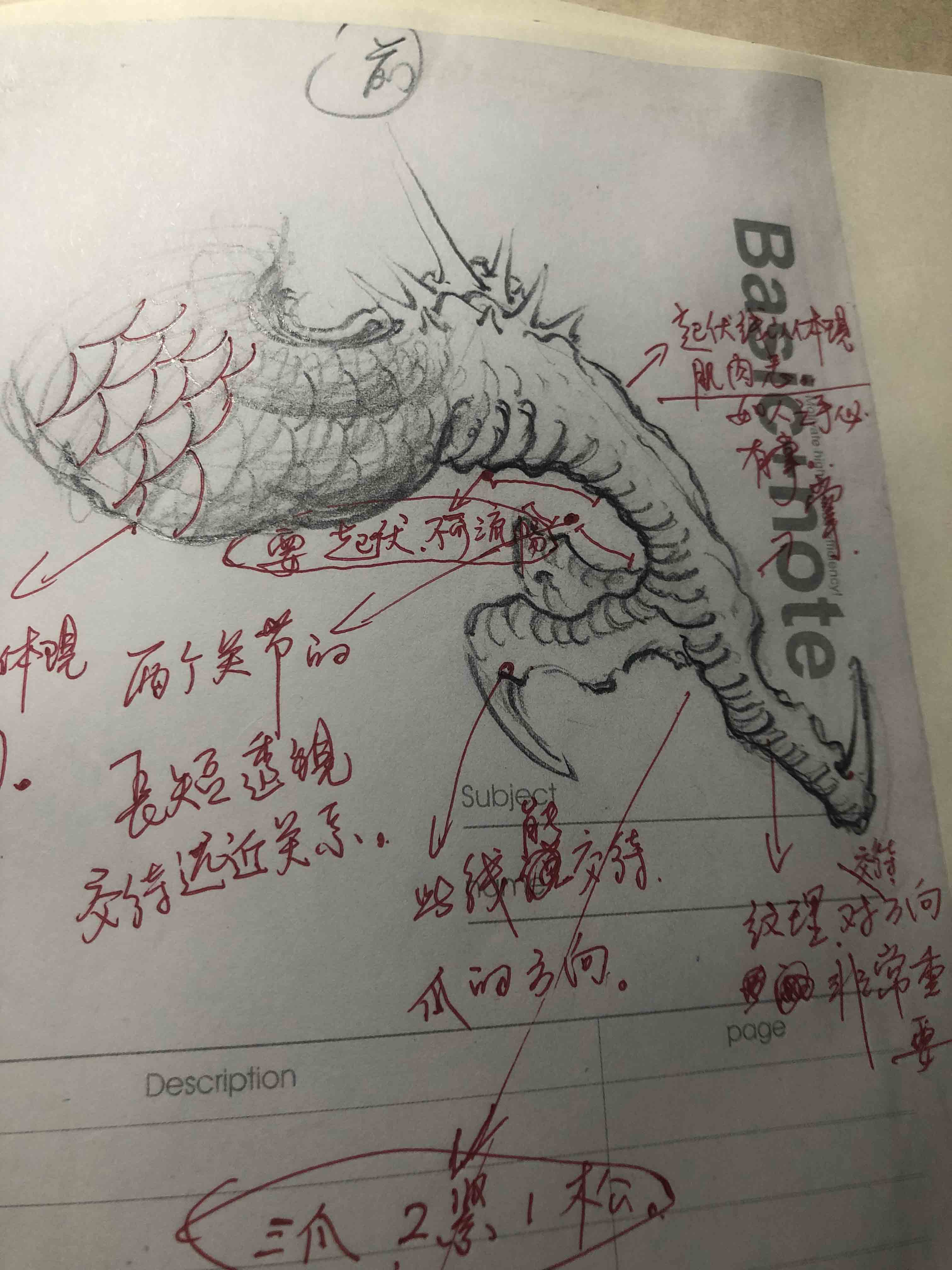 画龙笔记龙爪研究记由龙作品