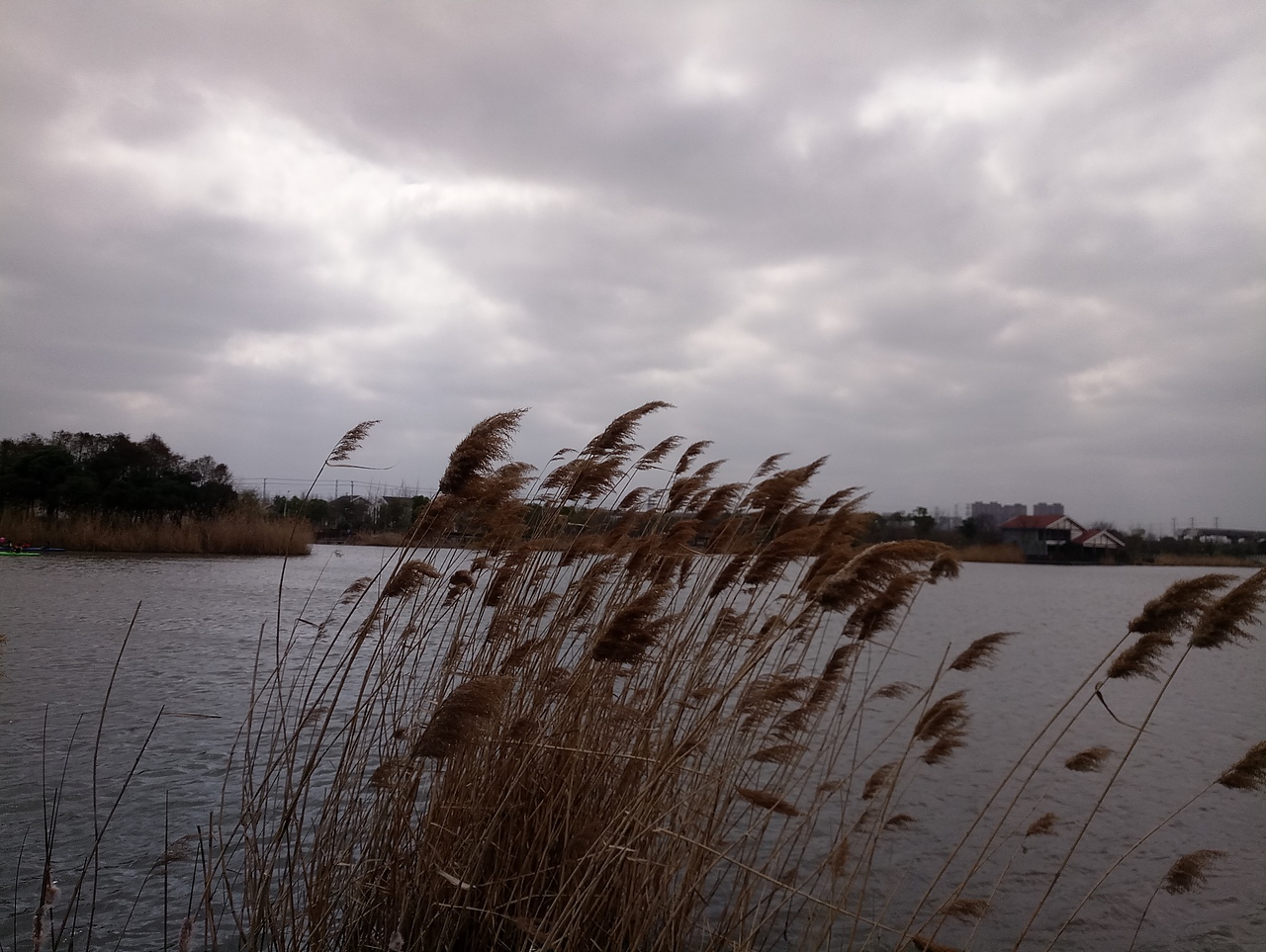 春之密影（图ZMTA4MjU4MjAw） - 产品摄影 - 站酷设计师珍丫头原创素材 - 站酷ZCOOL