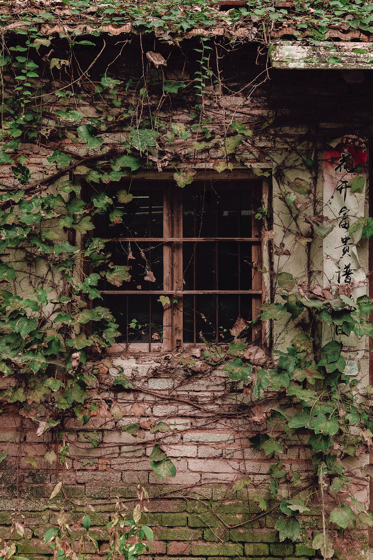 随处可见的农村场景（图ZMjI3MTIyOTA4） - 人文/纪实摄影 - 站酷设计师我有条狗叫汤圆原创素材 - 站酷ZCOOL