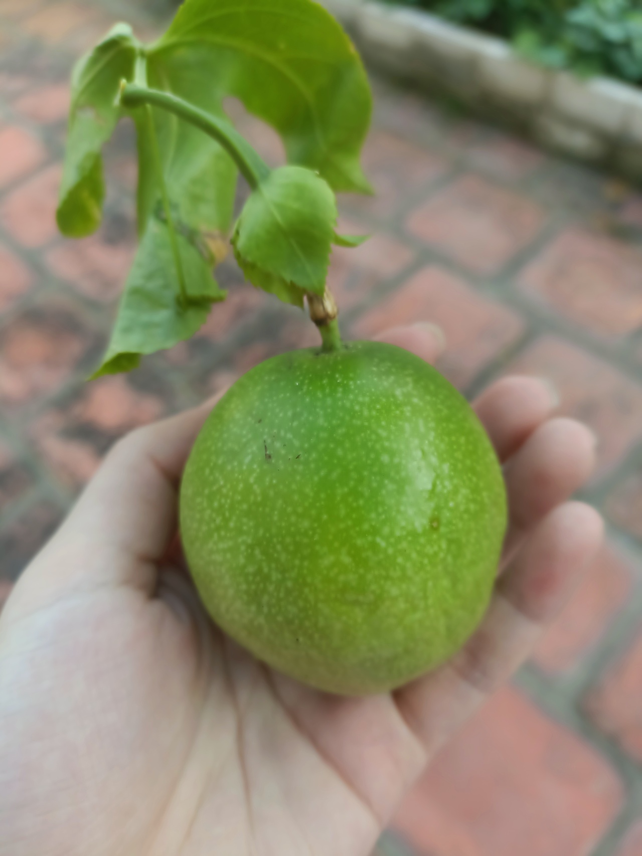 《心泛起了涟漪》