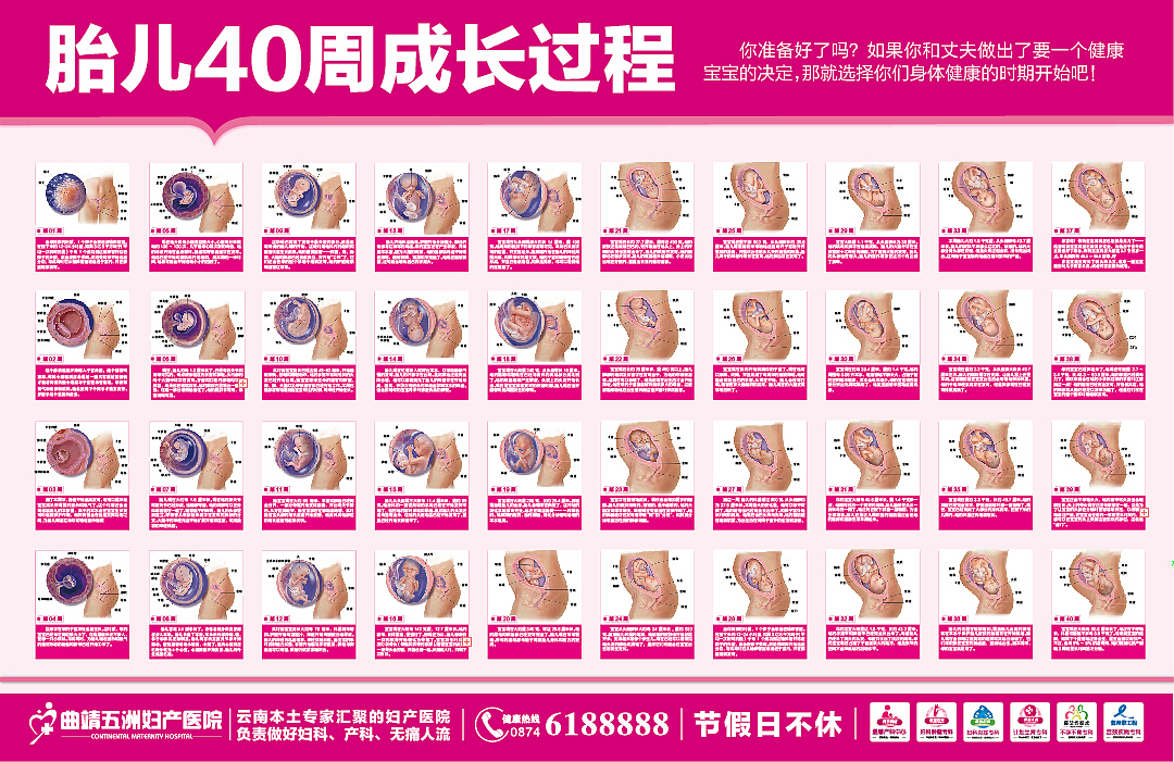妇产医院内做的一些资料（图ZNDA1NTE5ODA=） - 宣传物料 - 站酷设计师撬天堂之门原创素材 - 站酷ZCOOL