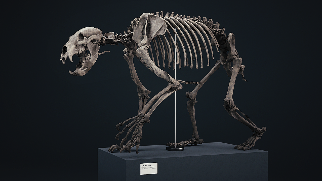 2020年6月份犄角旮旯系列之练习作品（图ZMjE1NDQ2Mzgw） - 动画/影视 - 站酷设计师Viscous原创素材 - 站酷ZCOOL