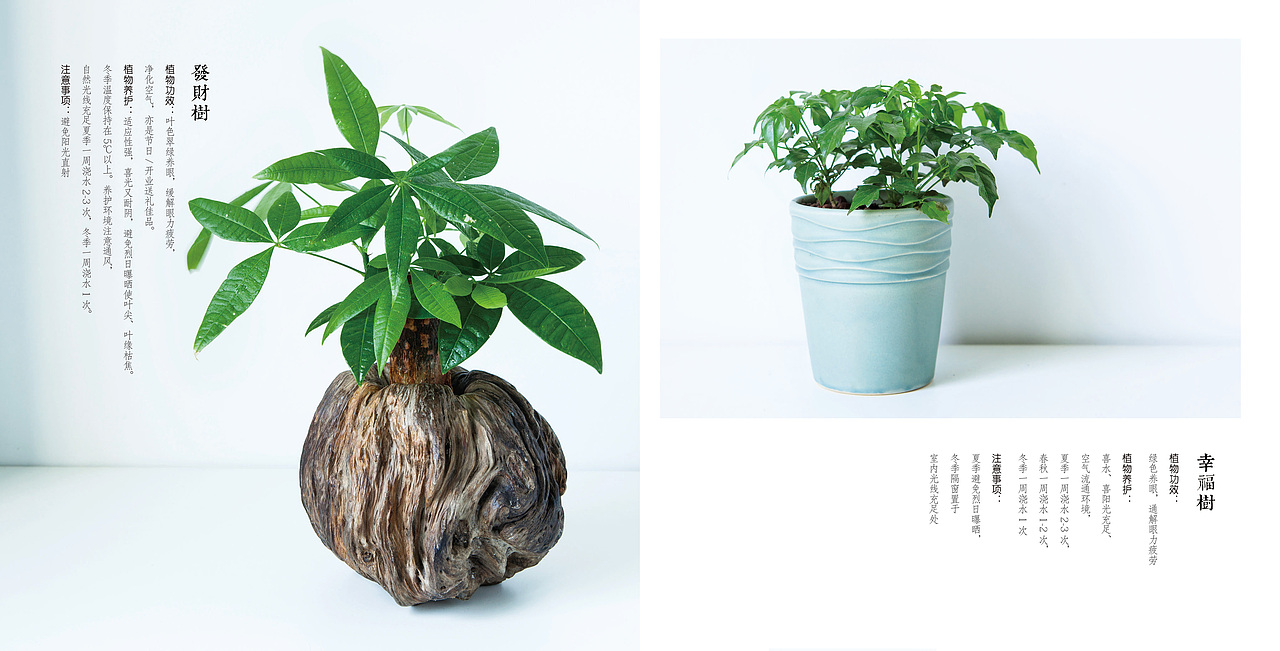 花艺家画册（图ZMTEzODQ0OTM2） - 书籍/画册 - 站酷设计师阿小德MY原创素材 - 站酷ZCOOL