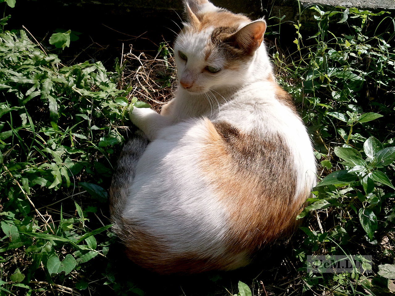 想拍你长正面都不让呀