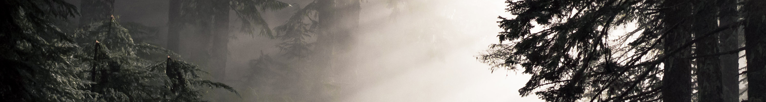 YLee设计的个人主页（封面预览） - 主页封面设置 - 站酷设计师YLee设计原创素材 - 站酷ZCOOL