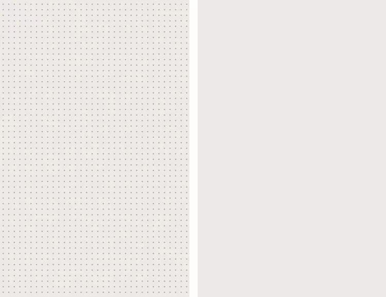 空白与点阵两种内页