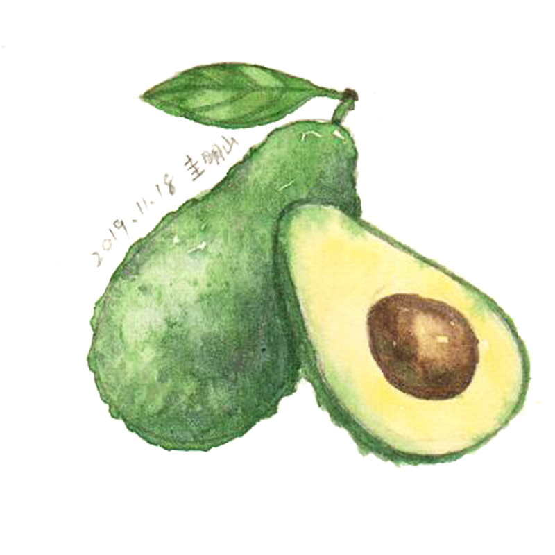 水果-牛油果