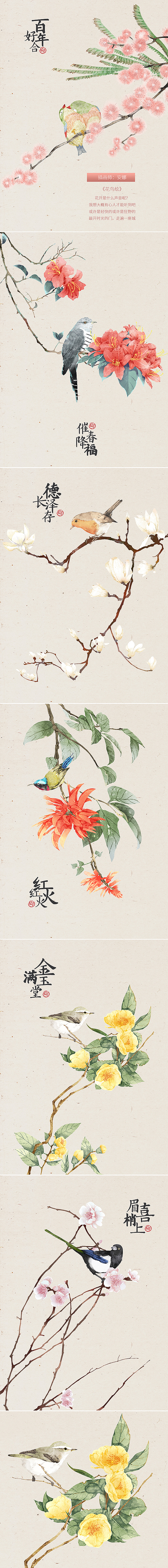 《花鸟绘》（图ZMTM4MDQ1MTY4） - 商业插画 - 站酷设计师画先生空间站原创素材 - 站酷ZCOOL