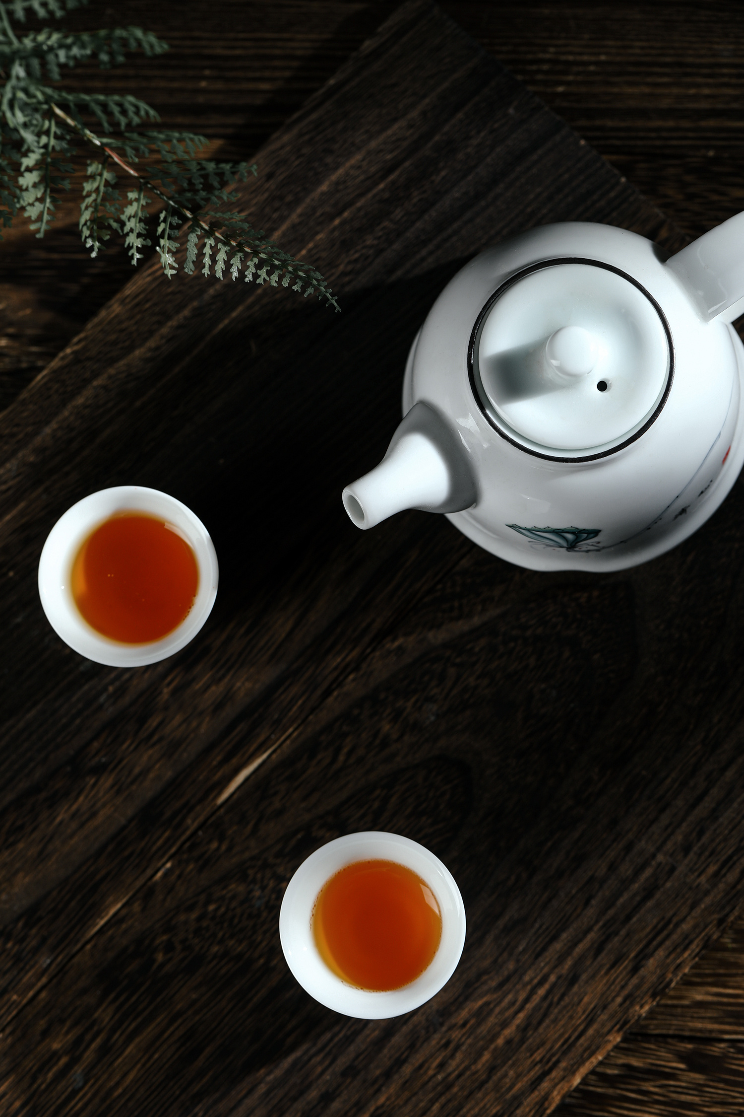 福鼎白茶 茶叶摄影