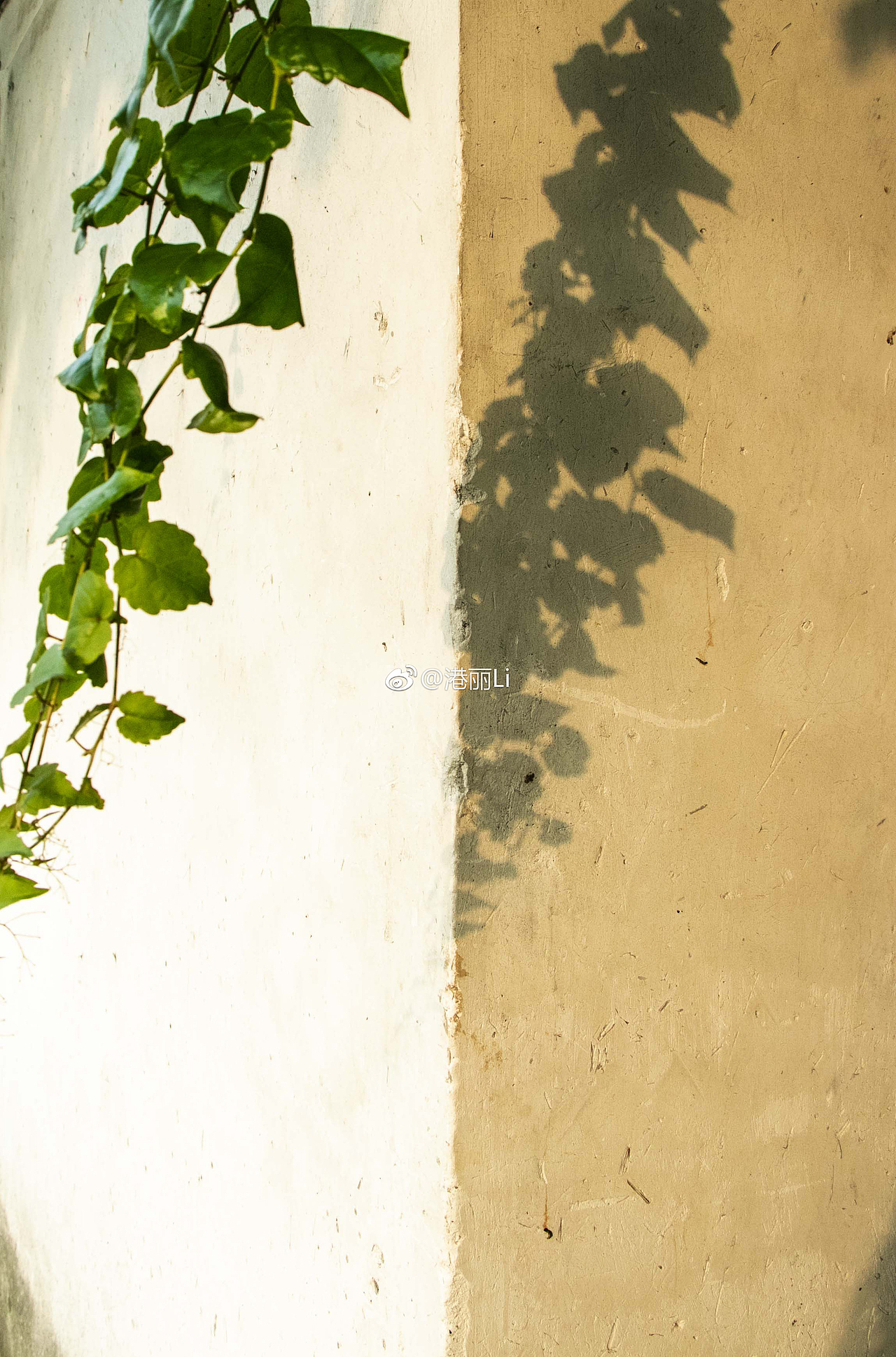 《“光”与“影”》