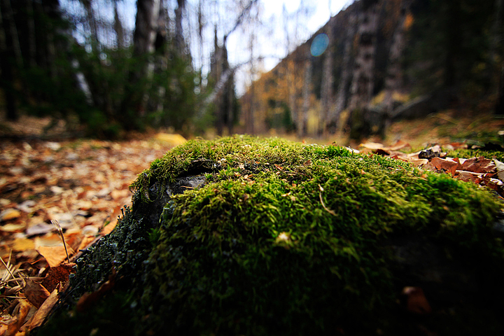 一路向西-遇见··