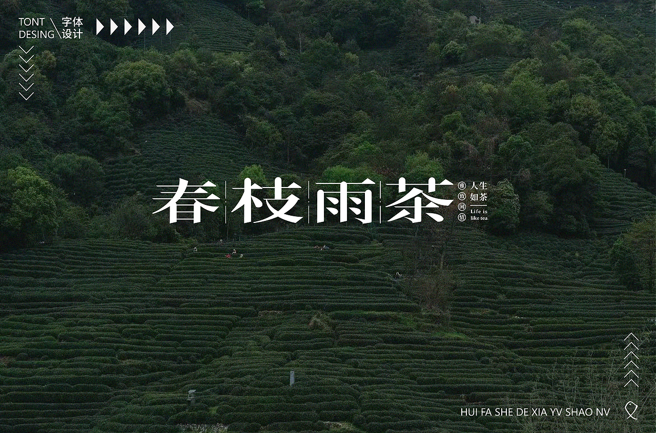 字体合集【逐浪派对】