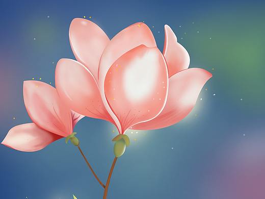 植物临摹（个人主页-ZNDEzNTk2OTI=） - 创作习作 - 站酷设计师满满都原创素材 - 站酷ZCOOL