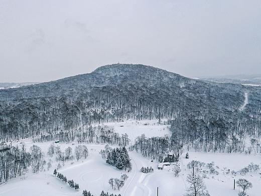 北海道-森林