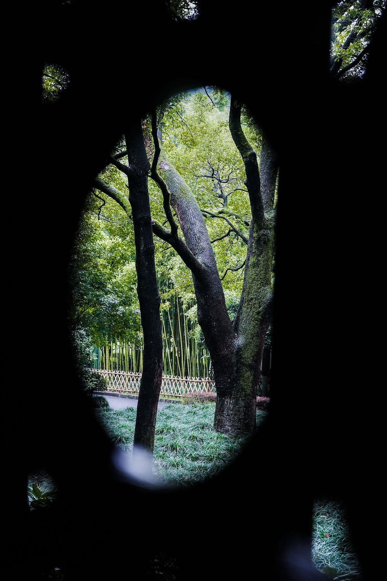 一些绿色🌳（图ZMzUxNzE1Mzk2） - 风光摄影 - 站酷设计师寒塘Y原创素材 - 站酷ZCOOL