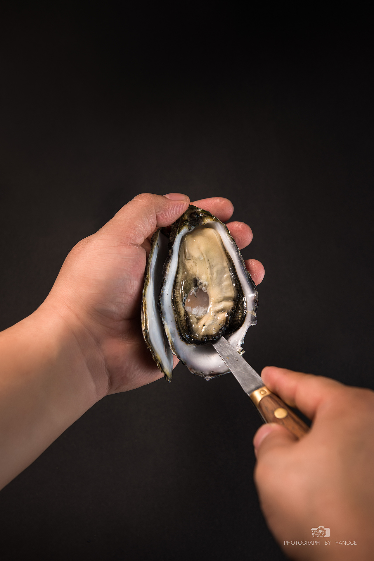 美食摄影丨日式料理拍摄 