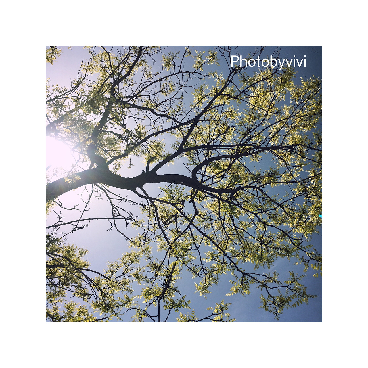 影·集——我的手机摄影（图ZNDY2MTc2NTI=） - 其他摄影 - 站酷设计师月野兔V原创素材 - 站酷ZCOOL