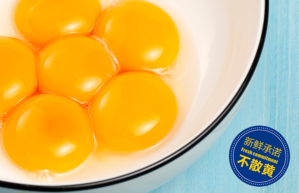 【新鲜在】建立品质认知,放弃传统视觉表现 — 蛋鲜生