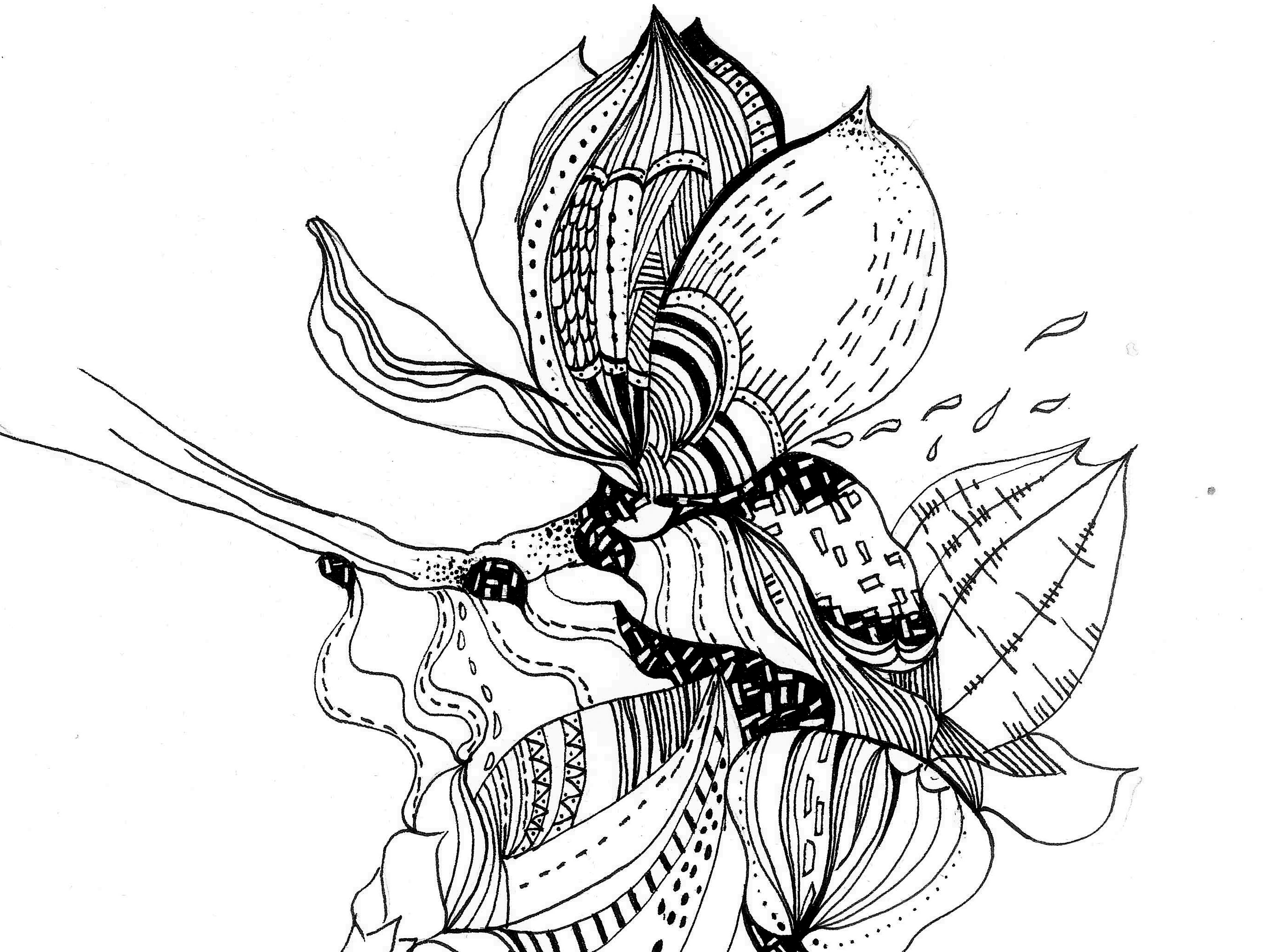 《点线面 植物》