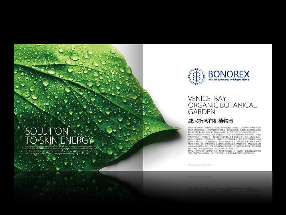 品牌设计 包装设计 画册设计 展架设计 微信海报设计