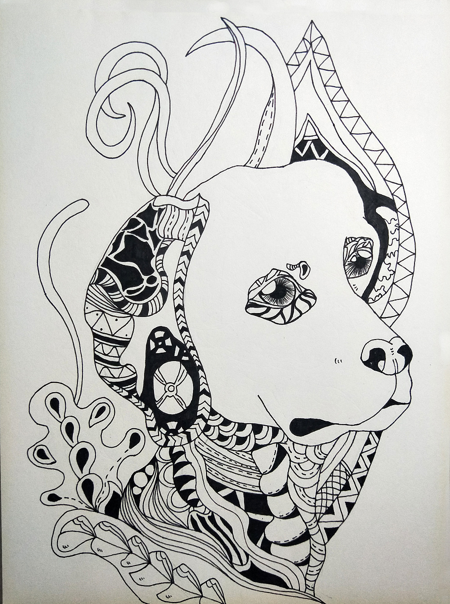 手绘黑白装饰插画