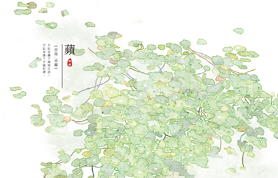 【诗经植物】系列（图ZODk5NTEzNjg=） - 商业插画 - 站酷设计师秋娘原创素材 - 站酷ZCOOL
