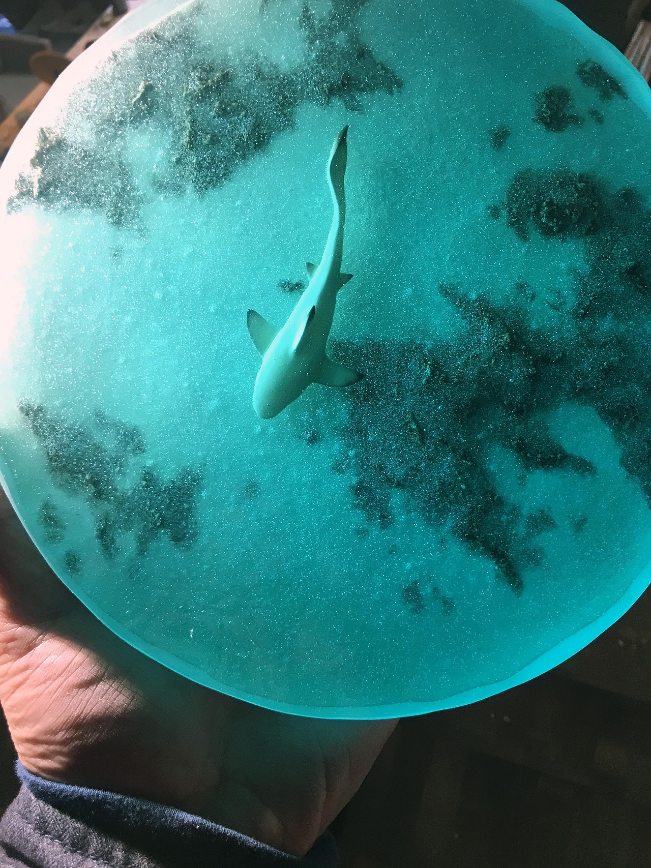 2019.12.7（图ZMTg4MjgzMTI4） - 其他手工艺 - 站酷设计师旨域大唐原创素材 - 站酷ZCOOL