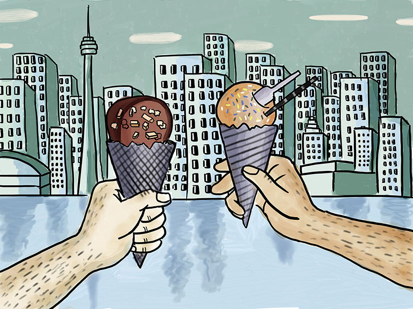 在多伦多的日常