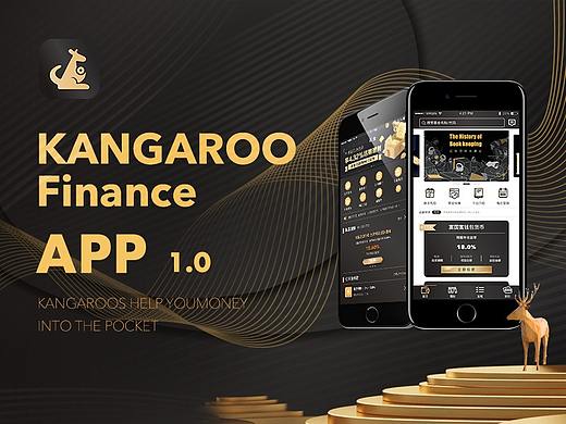 袋鼠理财——金融APP设计 1.0