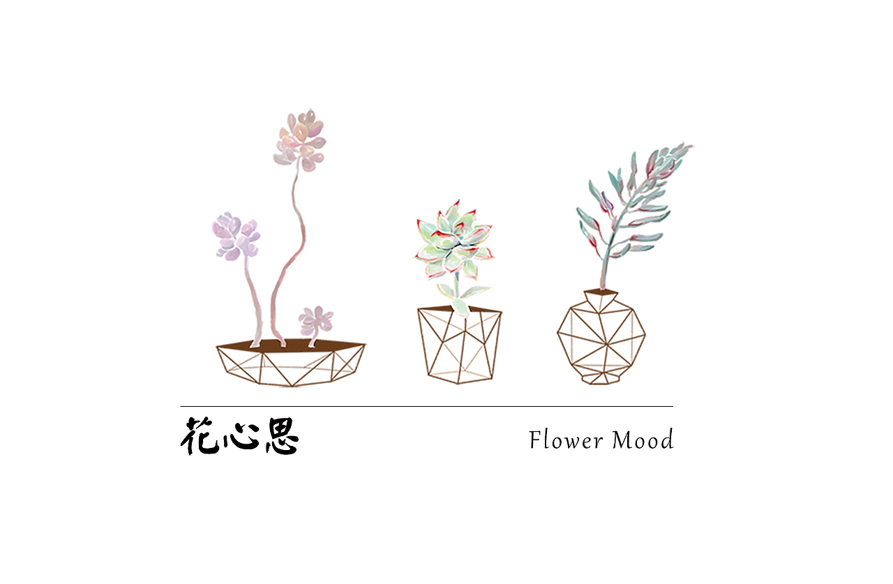 ”花心思“多肉品牌设计（图ZNDk2NTQyMjQ=） - 品牌 - 站酷设计师饭饭_Rice原创素材 - 站酷ZCOOL