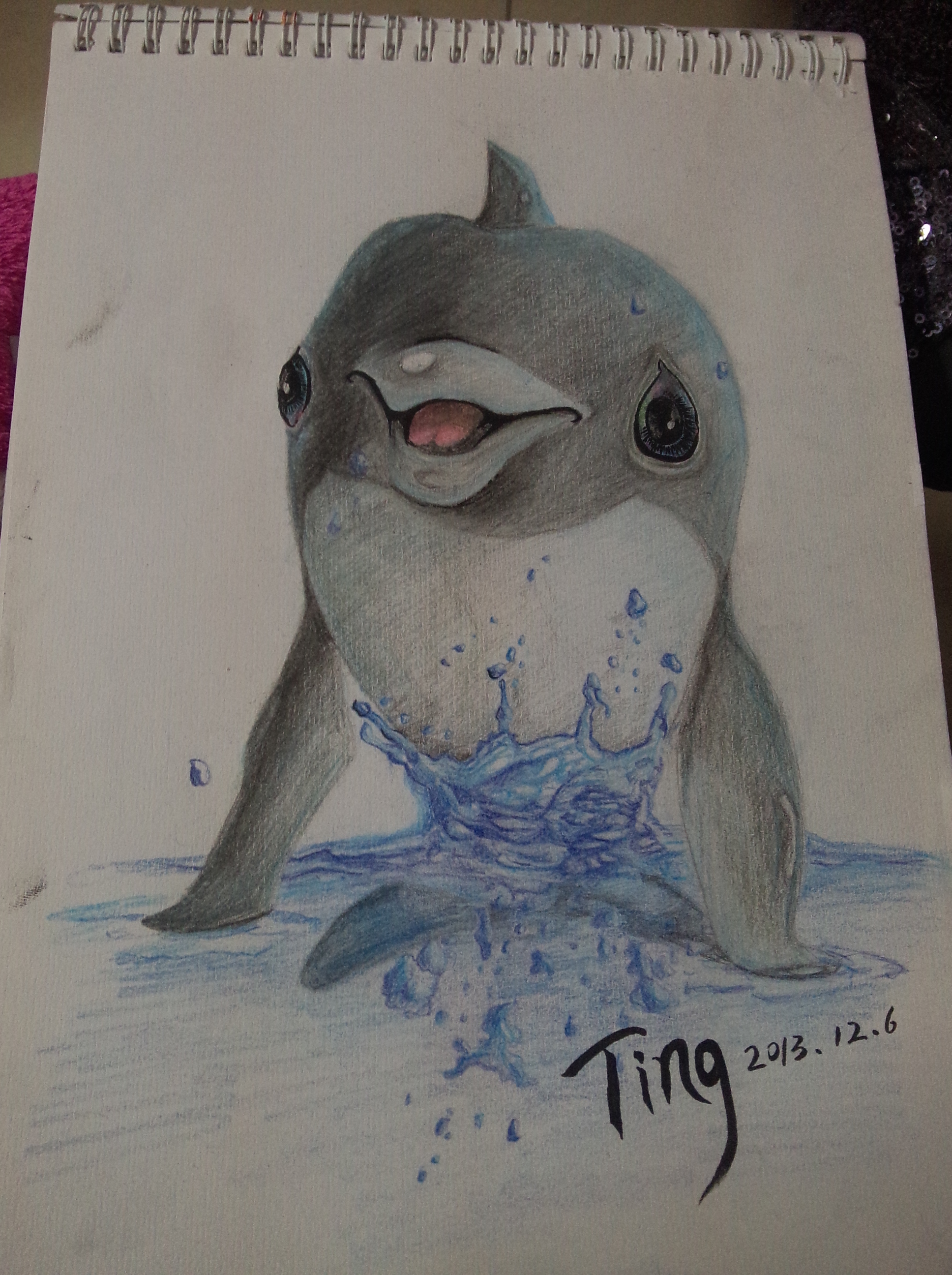 画海豚艺术图片